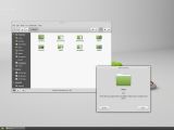 Linux Mint Debian 2 Cinnamon file manager