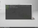 Linux Mint Debian Edition 2: The terminal emulator