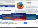 Linux Mint Debian Edition 2: The default web browser