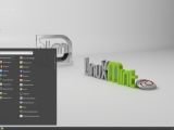 Linux Mint Debian launcher