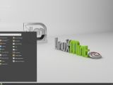Linux Mint Debian accessories