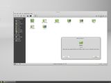 File manager in Linux Mint Debian