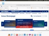 Firefox in Live Voyager