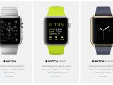 Apple Watch Editions: Stainless Steel, Sport, Gold