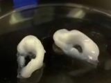 3D printed ears