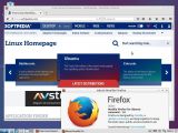 The Mozilla Firefox web browser