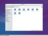 The default file manager