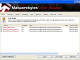 Malwarebytes' Anti-Malware detection of the dummy samples