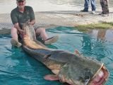 The fish was found to weigh 221 pounds (100 kilograms)