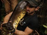 Paul Rosolie was not actually eaten by a snake