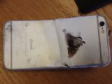Aftermath of iPhone 6 burning incident