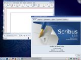 Mandriva Linux 2009.1 RC2 Free Edition with KDE 4.2.2
