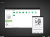 File manager in Manjaro Xfce 0.8.11