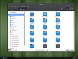 The default file manager and new iconset
