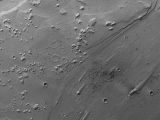 Ares Vallis reveals treasure trove of impact crater clusters