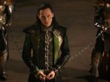 Chains and not even wild horses can keep Loki from mischief