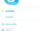 Skype profile
