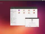 Ubuntu 13 in action