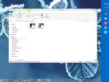 Windows 10 File Explorer and sharing options
