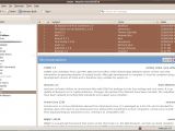 Mozilla Thunderbird 3.0 - Summary view of grouped items