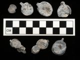 Lead seals found among the ship's remains