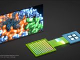 NVIDIA Tesla K80 will be used in biochemistry research