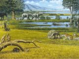 Pliocene fauna