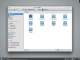 Neptune 4.3 file manager