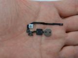 iPhone 5S Home button and flex cable