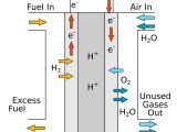 Fuel cell schematic