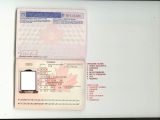 Fake passport generated by underground service