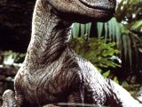 In Jurassic Park, Velociraptor was presented like this