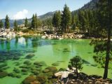 Plenty North America lakes risk experiencing such biological shifts