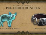 Pillars of Eternity pre-order bonus