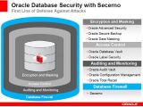 Secerno's role in Oracle's database security portfolio
