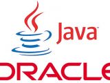 Only 19 security flaws repaired in Java