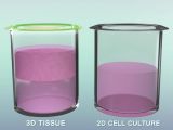 3D versus 2D tissue