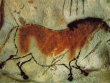Wild horse on the walls of Lascaux caves (France), Upper Paleolithic