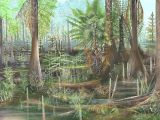 Carboniferous swamp