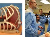 The 3D printed rib cage