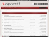 Peppermint Support Forum SSB