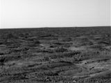 Image of the horizon line of the spot where Phoenix landed. The bright white object in the distance is probably the protective backshell