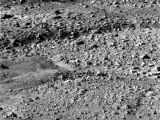 Image of the Martian north polar soil with its polygonal-like patterns