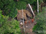 This is the first time anyone gets such detailed images of these uncontacted Indians, threatened by illegal loggers invading the neighboring territories.