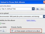 The new upload dialog in Google Picasa 3.6 with sharing options
