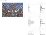 The new Picasa Web EXIF data page