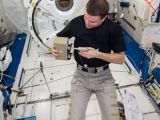 Photo shows astronaut Reid Wiseman treating the seedlings with a special solution