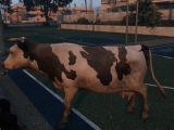Control a cow in GTA 5