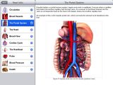 Pocket Heart for iPad screenshot