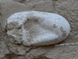 3D pterosaur egg discovered in China